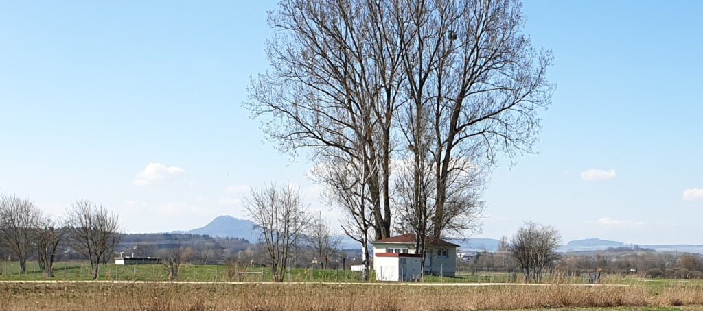 Zwei kleine Häuschen stehen in einer winterlichen Landschaft, dahinter kahle Bäume.