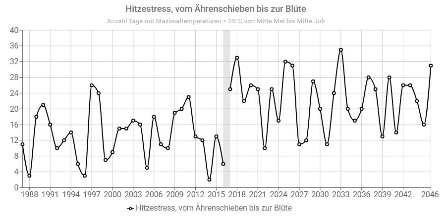 Liniendiagramm zur Entwicklung von Hitzestress im Getreideanbau von 1988 bis 2046. Dargestellt ist die Anzahl der Tage mit Maximaltemperaturen über 25 °C zwischen Mitte Mai und Mitte Juli. Ab etwa 2017 ist ein deutlicher Anstieg und eine größere Schwankungsbreite erkennbar, mit Spitzenwerten von über 30 Tagen.