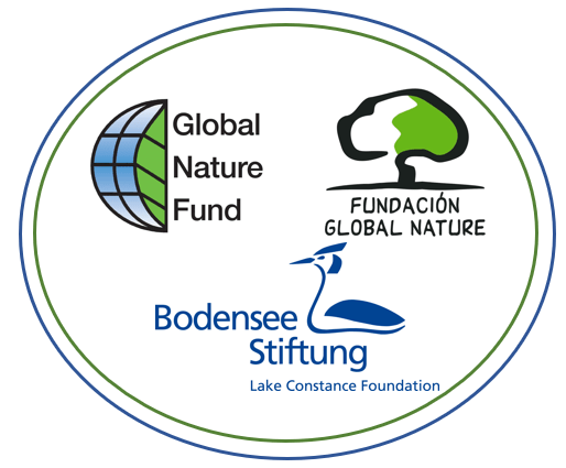 Logos der drei Partnerorganisationen Global Nature Fund, Fundación Global Nature und Bodensee-Stiftung (Lake Constance Foundation) in einem gemeinsamen ovalen Rahmen.