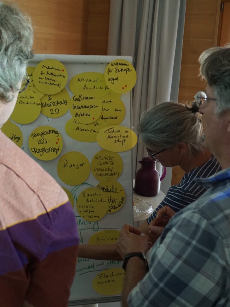 Blick über den Rücken von drei Menschen auf eine Pinwand. An der Pinwand hängen gelbte Buttons mit handschriftlichen Stichpunkten.
