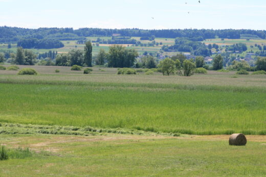 weiter rmit alterbativ text Weite Agrarlandschaft mit grünen Feldern und einer Strohrolle im Vordergrund. Im Hintergrund ein Dorf, umgeben von Bäumen und sanften Hügeln, unter leicht bewölktem Sommerhimmel.