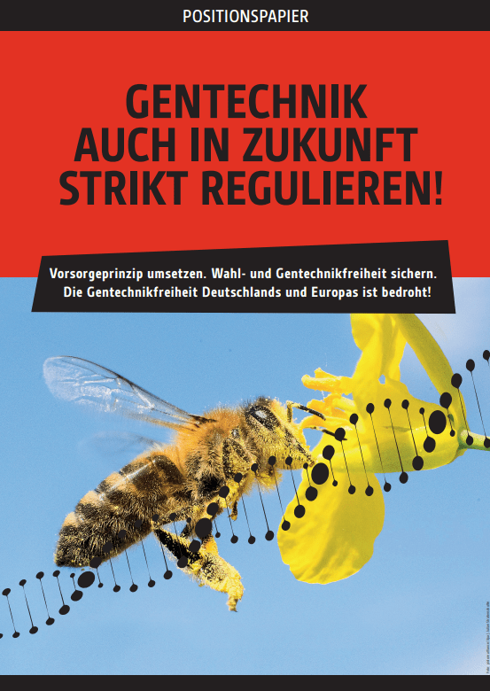 Das Deckblatt des Positionspapiers.