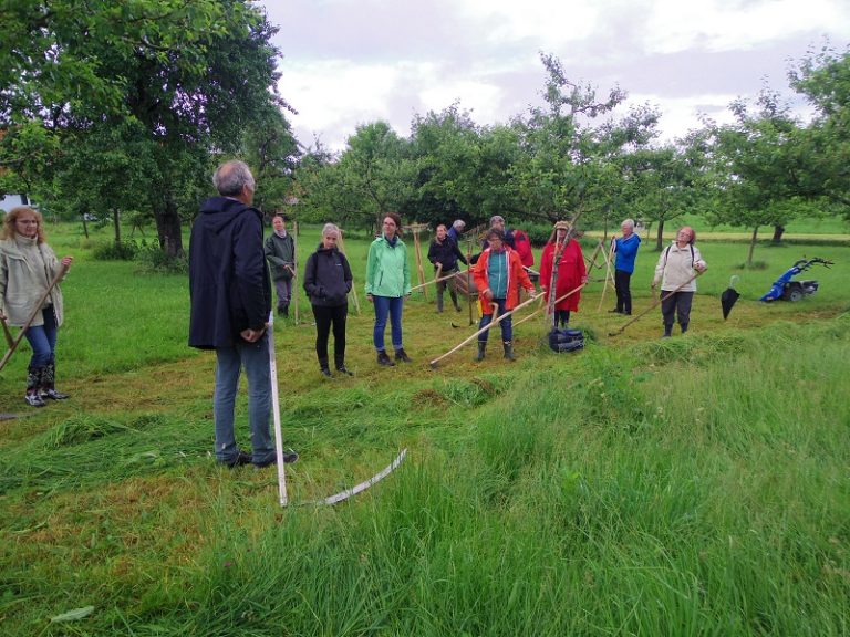 Gruppe von etwa zwölf Personen bei einem praktischen Sense- oder Mähkurs auf einer Streuobstwiese. Ein Kursleiter im Vordergrund hält eine Sense, die Teilnehmenden stehen mit Rechen und Sensen im Halbkreis.