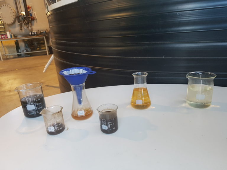 6 Wasserproben stehen auf einem weißen Tisch. Drei davon sind bräunlich eingefärbt und die anderen drei gelb bis weißlich.