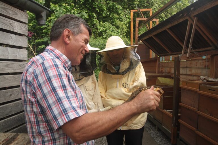 Drei Personen begutachten gemeinsam eine Bienenwabe am Bienenstand – zwei davon tragen Imkerschutzanzüge mit Schleier, im Hintergrund Bienenkästen und Bäume.