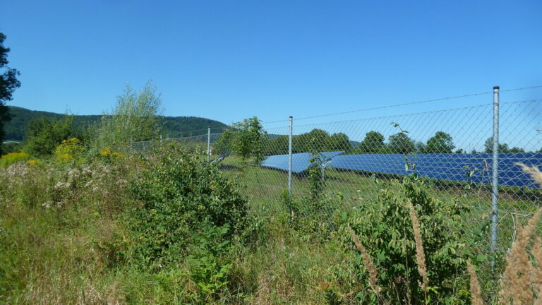 Freiflächenphotovoltaikanlage hinter einem Maschendrahtzaun, umgeben von naturnaher Wildkrautvegetation mit Sträuchern und blühenden Pflanzen, im Hintergrund bewaldete Hügel und blauer Himmel.
