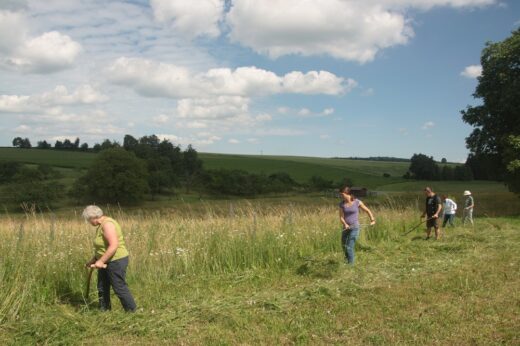 Gruppe von Menschen mäht mit Sensen eine artenreiche Wiese in hügeliger Landschaft unter bewölktem Sommerhimmel – traditionelle Landschaftspflege per Hand.