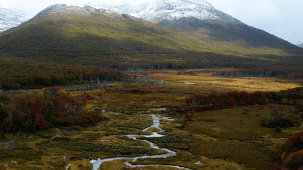 Filmszene: Blick in eine Moorlandschaft mit schneebedecktem Berg im Hintergrund