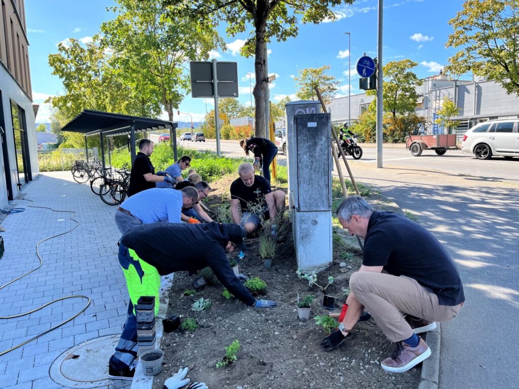 Eine Gruppe von Menscen kniet auf einer Gartenfläche und pflanzt Stauden ein.