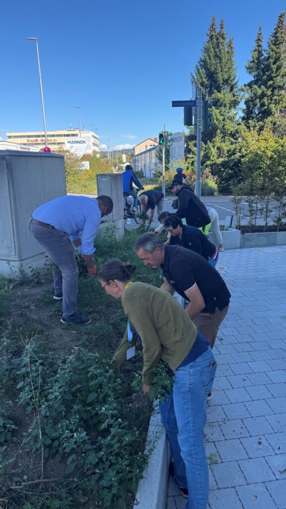 Eine Gruppe von Menschen steht mit gebeugtem Rücken arbeitend über einer Gartenfläche.