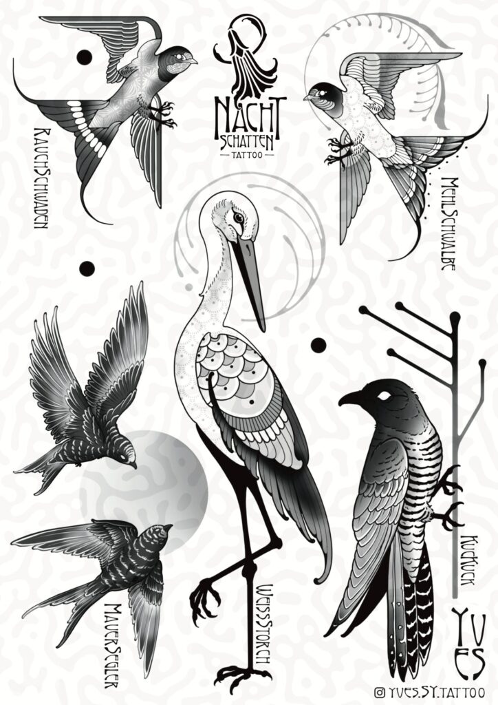 Sechs gezeichnete Zugvögel (Rauchschwalbe links oben, Mehlschwalbe rechts oben, Kuckuck rechts unten, Weißstorch unten in der Mitte, zwei Mauersegler links unten.