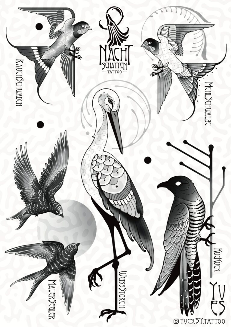 Sechs gezeichnete Zugvögel (Rauchschwalbe links oben, Mehlschwalbe rechts oben, Kuckuck rechts unten, Weißstorch unten in der Mitte, zwei Mauersegler links unten.
