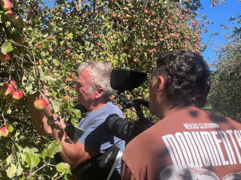 Zu sehen sind zwei Männer in einer Apfelbaumanlage mit reifen Früchten. Ein Mann ist von hinten zu sehen. Er hälte eine Filmkamera auf einen Landwirt gerichtet, der am Obstbaum einen Apfel prüft.