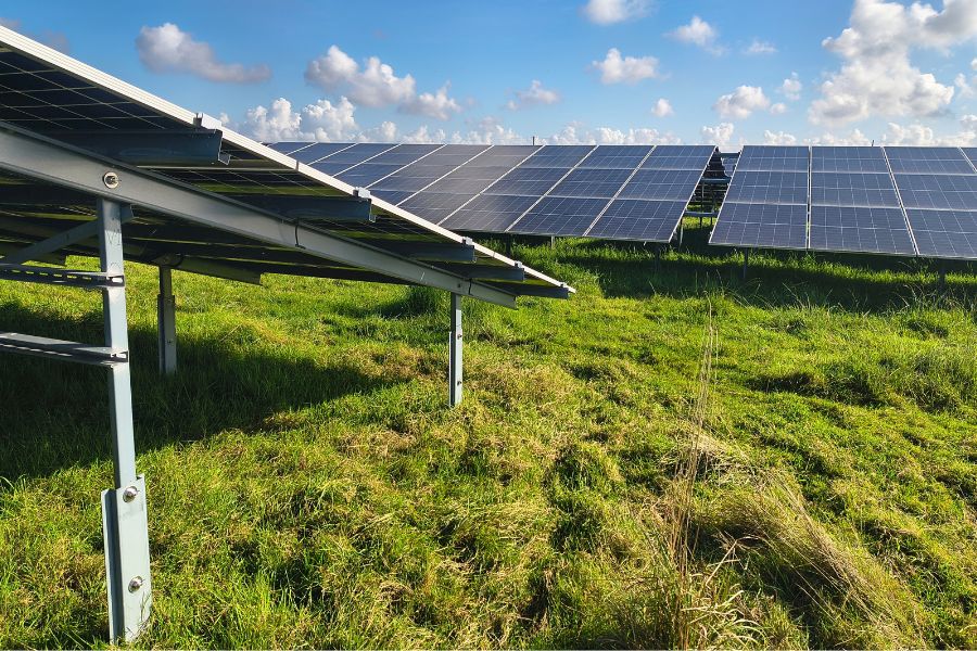 Blick von schräg unten auf PV-Module, die in einem Moor stehen.
