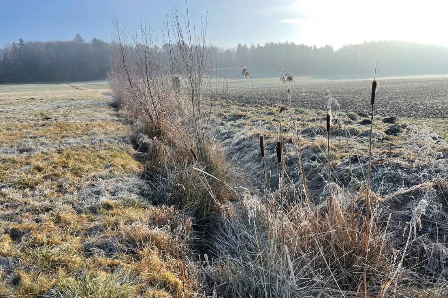 Blick auf einen Graben in einer ebenen Landschaft. Das kurze Gras ist mit Raureif bedeckt.
