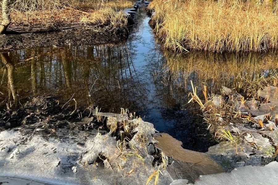 Blick auf eine Gabelung von Wassergräben. Im Vordergrund liegt eine dünne Eisschicht auf dem Uferbereich.