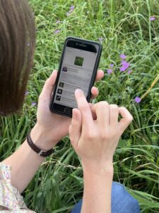 Blick auf ein Smartphone, auf dem die App iNaturalist geöffnet ist.