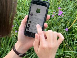 Blick auf ein Smartphone, auf dem die App iNaturalist geöffnet ist.