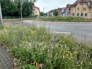 Blick auf einen blühenden Kreisverkehr in Radolfzell.