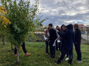 Junge Menschen stehen mit Planungsbögen auf einer Grünfläche vor einem Baum.