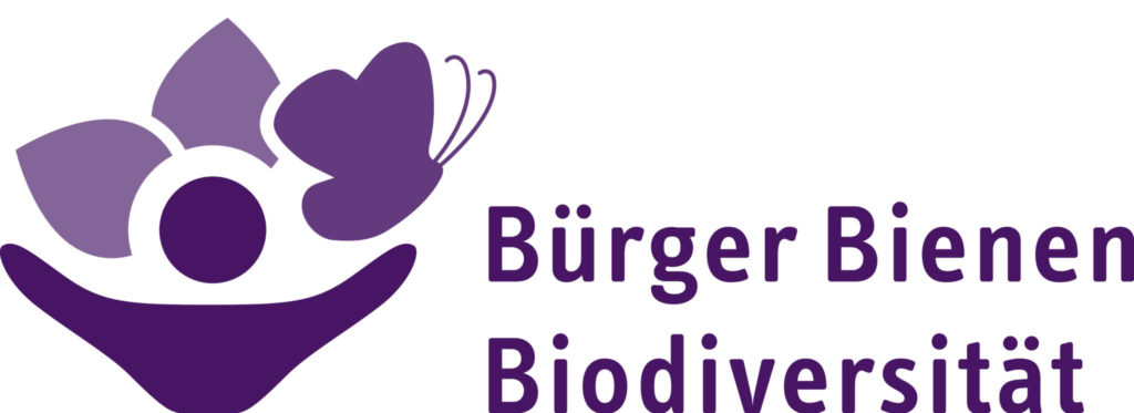 BBB Logo Freigestellt