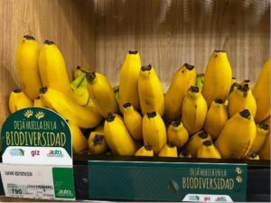 Blick auf ein Supermarktregal mit Bananen. Ein Hinweisschild macht auf die biodiversitätsfördernde Anbauweise aufmerksam.