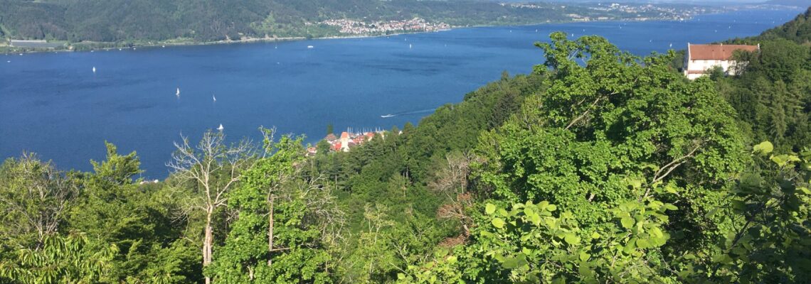 Blick von der Burgruine Altbodman auf den Obersee des Bodensees.