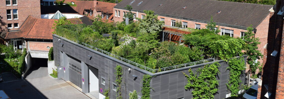 Blick in eine städtische Siedlung mit vielen Bäumen, Gründach und begrünten Fassaden