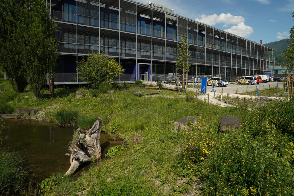 Naturnahes Firmengelände