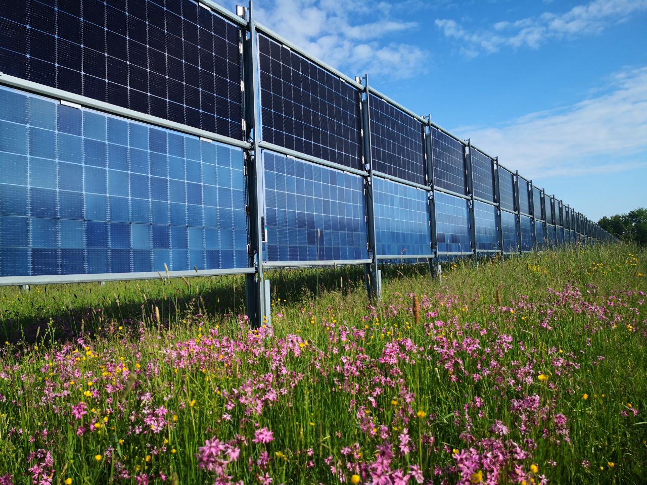 Exkursion Solarpark DonaueschingenAasen am 19.10.2020 BodenseeStiftung