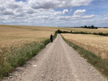 Blick auf einen Feldweg, rechts und links befinden sich reife Getreidevfelder