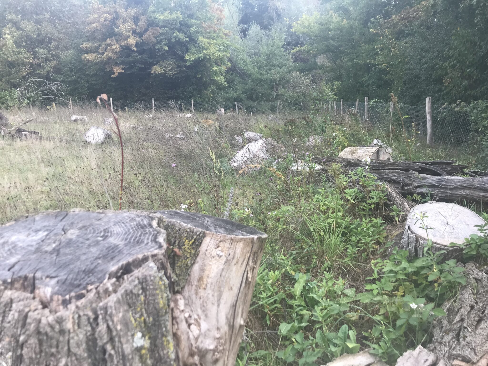 Projekt Zukunftsgrün Exkursion für Gärtner*innen zu BestPractice