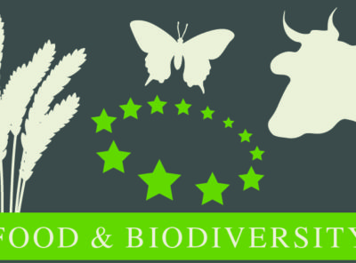 {:de}Biodiversitätskriterien in Standards und Labels der Lebensmittelbranche{:}{:en}Biodiversity in Standards and Labels for the Food Industry{:}