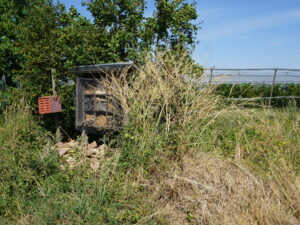 Blick auf ein Wildbienenhotel und einen Steinhaufen vor einer Obstanlage.