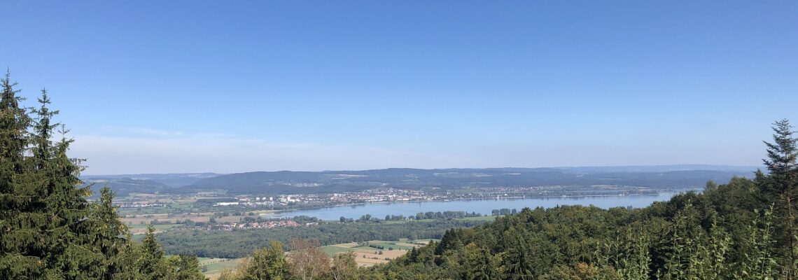 Blick durch über einen Wald hinweg hinunter auf den Bodensee und Radolfzell.