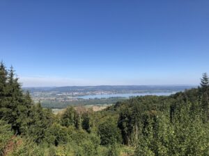 Blick durch über einen Wald hinweg hinunter auf den Bodensee und Radolfzell.