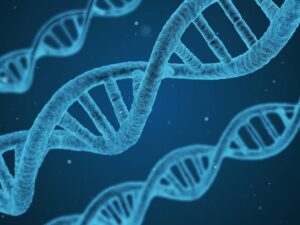 Blick auf eine DNA-Helix