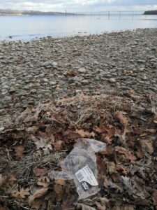 Plastikmüll am Bodensee