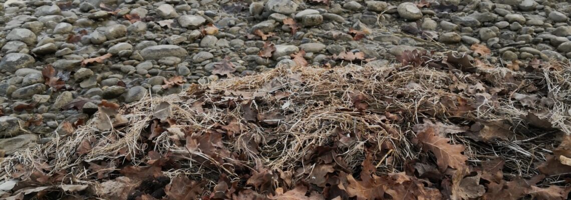 Plastikmüll am Bodensee