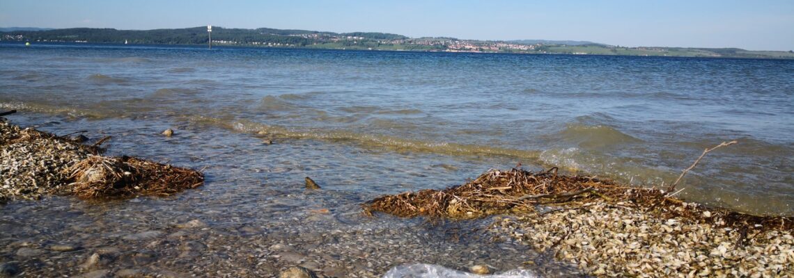 Plastikmüll am Bodensee