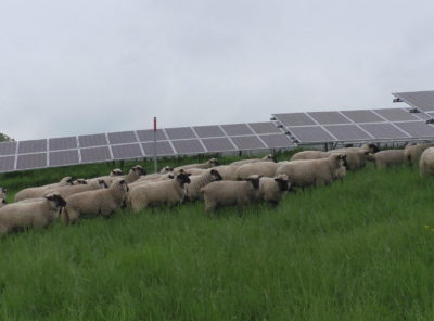 EINLADUNG "Ökopunkte für Photovoltaik Freiflächenanlagen - Maßnahmen und Akzeptanz"