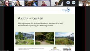 Screenshot während eines Online-Treffens. Über einer Präsentationsfolie zum Projekt "AZUBI-Gärten" sind die Teilnehmer*innen in kleinen Bildern zu sehen. 