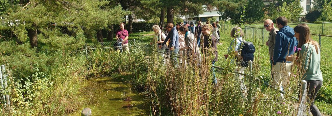 Eine Gruppe geht an einem kleinen Teich entlang und blickt auf das Gewässer.