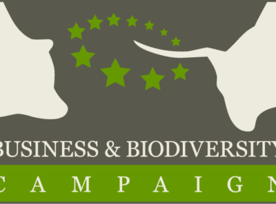 {:de}Europäische Business & Biodiversity Kampagne (EBBC){:}{:en}European Business & Biodiversity Campaign (EBBC){:}